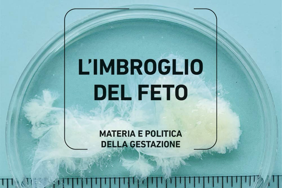 Presentazione l'Imbroglio del Feto